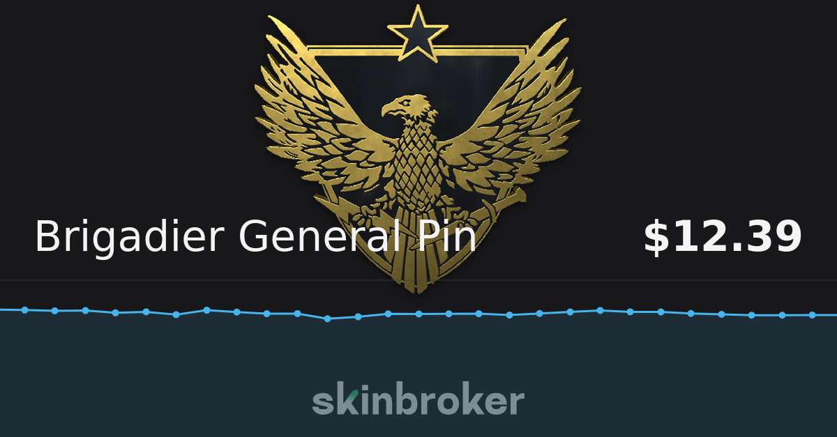 Brigadier General Pin | skinbroker