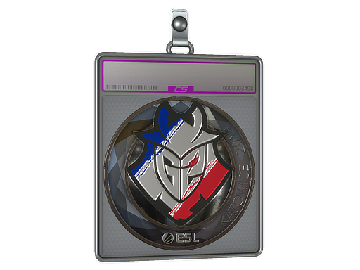 Sticker Slab | G2 Esports (Foil) | Katowice 2019