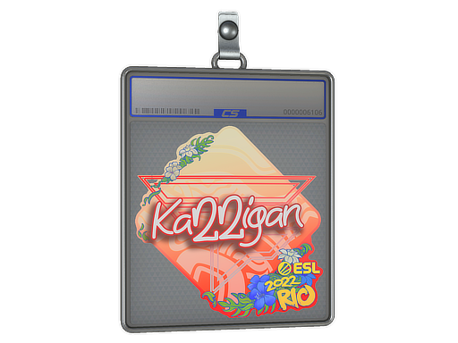 Sticker Slab | karrigan | Rio 2022