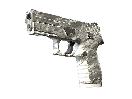P250 | Sleet (Well-Worn)