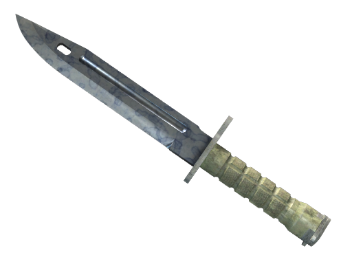 StatTrak™ ★ Bayonet | Stained (Field-Tested)