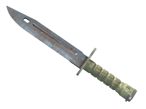 StatTrak™ ★ Bayonet | Rust Coat (Well-Worn)