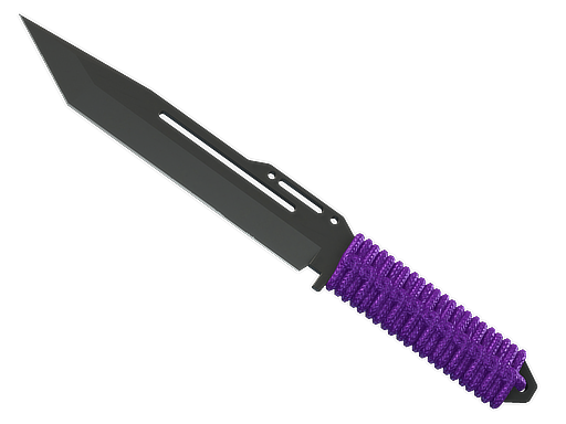 StatTrak™ ★ Paracord Knife | Ultraviolet (Field-Tested)