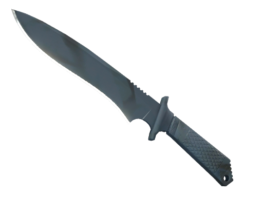 StatTrak™ ★ Classic Knife | Night Stripe (Field-Tested)