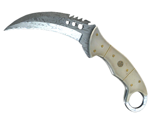 StatTrak™ ★ Talon Knife | Damascus Steel (Well-Worn)