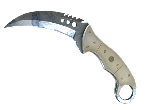 StatTrak™ ★ Talon Knife | Stained (Well-Worn)