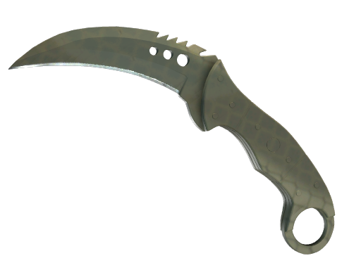 StatTrak™ ★ Talon Knife | Safari Mesh (Minimal Wear)