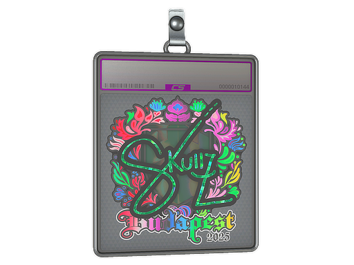 Sticker Slab | skullz (Holo) | Budapest 2025