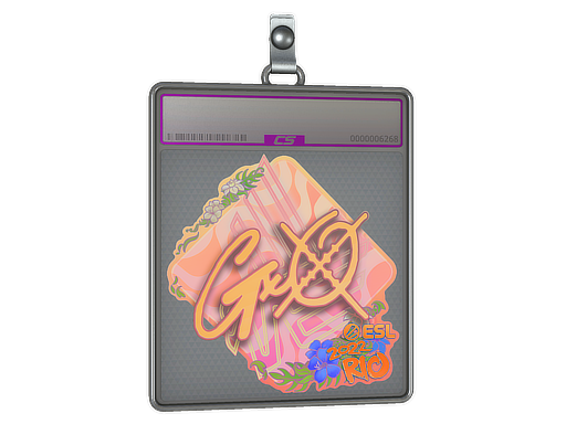 Sticker Slab | gxx- (Holo) | Rio 2022