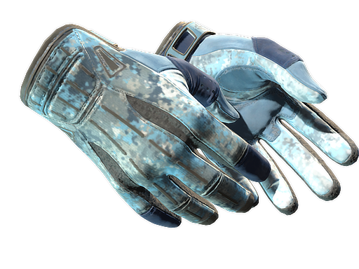 ★ Sport Gloves | Frosty (Battle-Scarred)