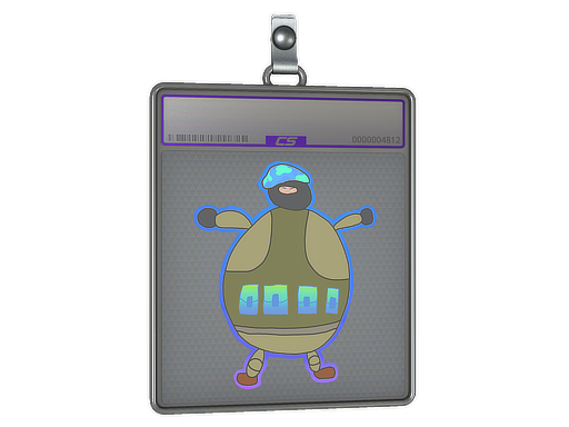 Sticker Slab | Poorly Drawn IDF (Holo)