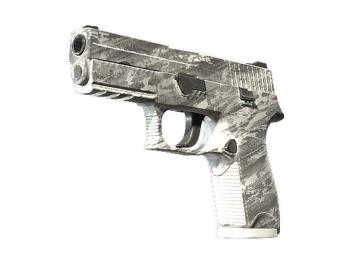 Souvenir P250 | Sleet (Well-Worn)