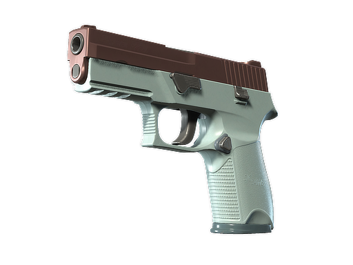 Souvenir P250 | Copper Oxide (Well-Worn)