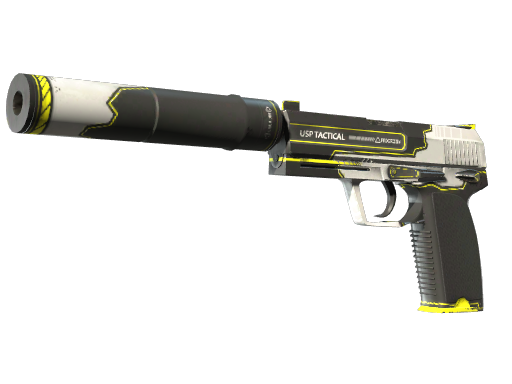 Souvenir USP-S | Torque (Factory New)