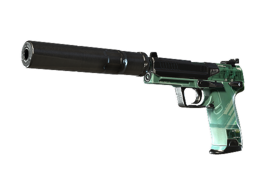 Souvenir USP-S | PC-GRN (Well-Worn)